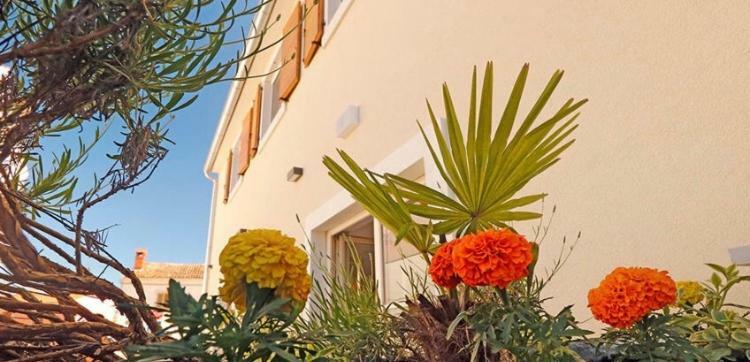 Studio Apartman Dado Daire Bale Dış mekan fotoğraf